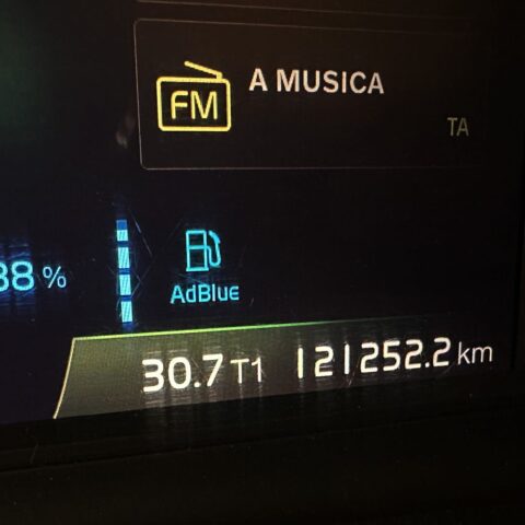 5653675186.jpg
